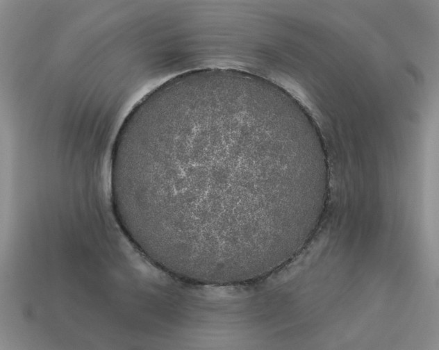 X0000114131032200910221500