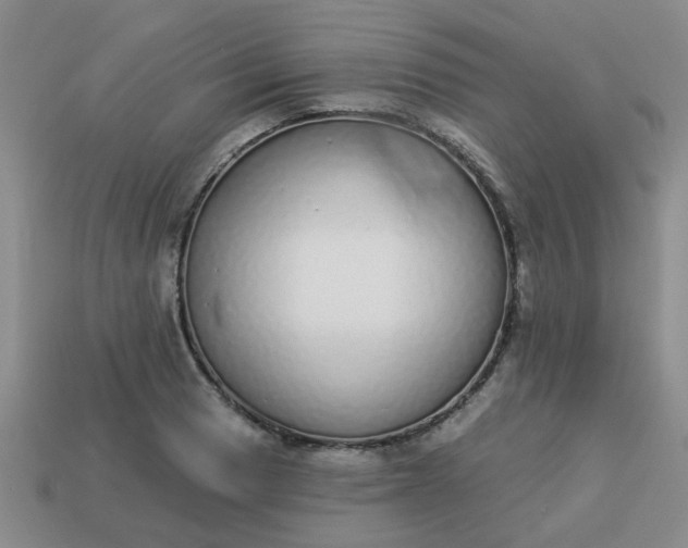 X0000114131033200910221500