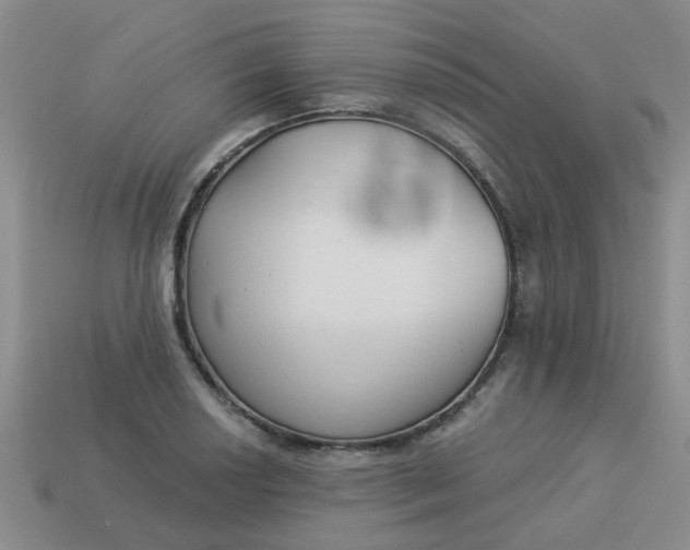 X0000114131034200910221500