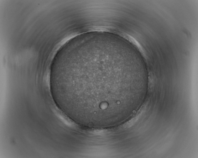 X0000114131035200910221500