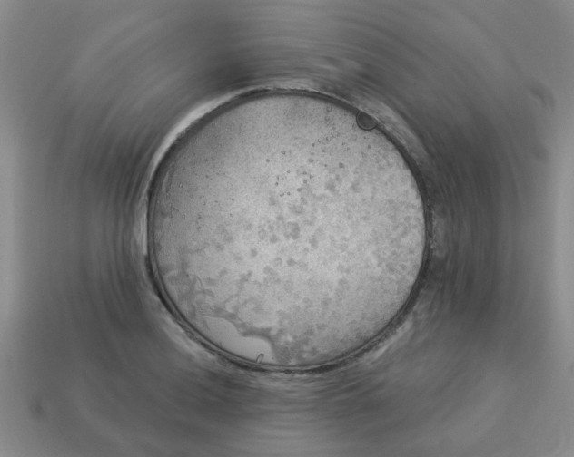 X0000114131036200910221500