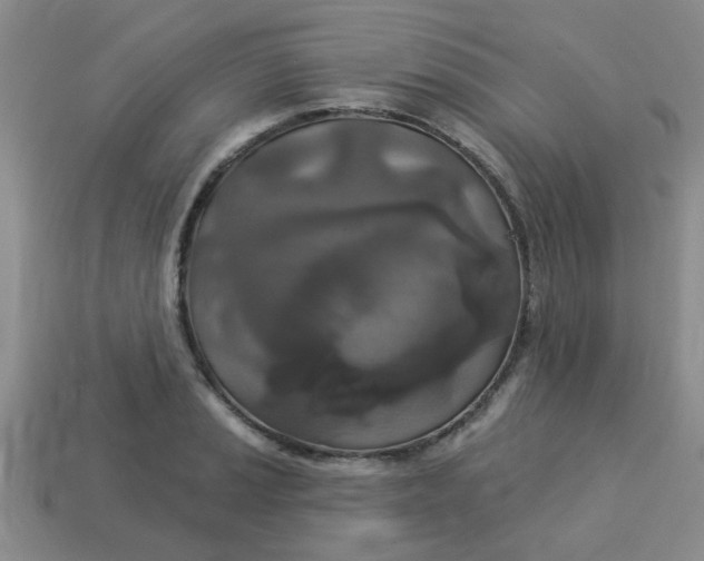 X0000114131037200910221500