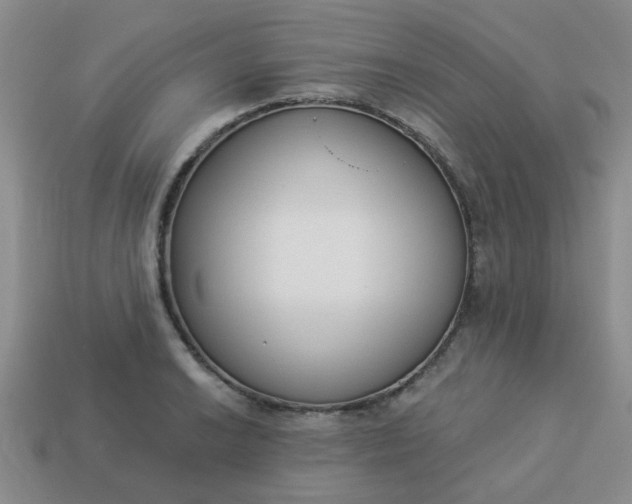 X0000114131038200910221500