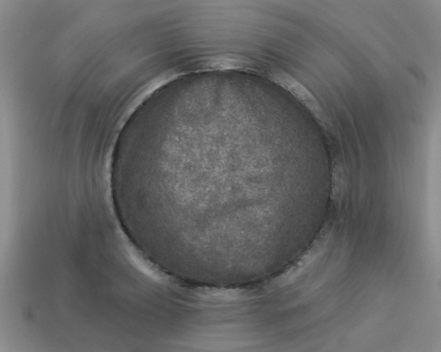 X0000114131039200910221500