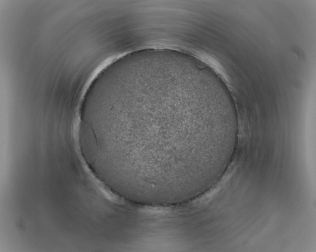 X0000114131040200910221500