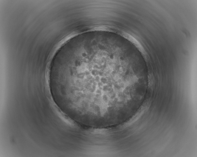 X0000114131043200910221500