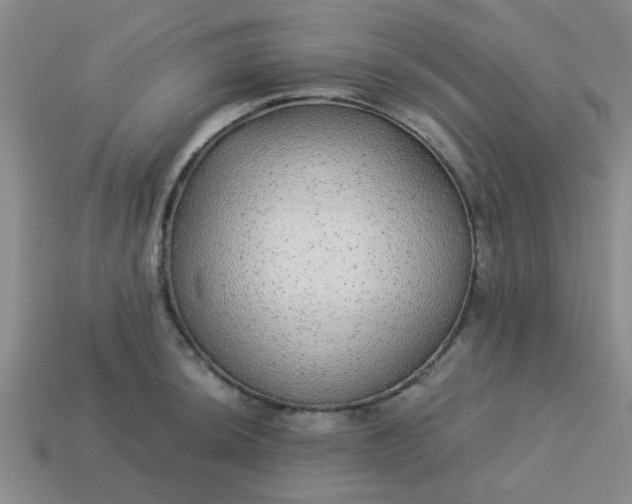 X0000114131044200910221500