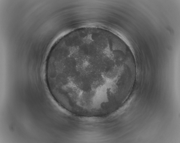 X0000114131045200910221500