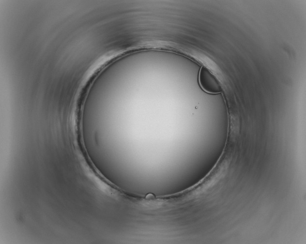 X0000114131046200910221500