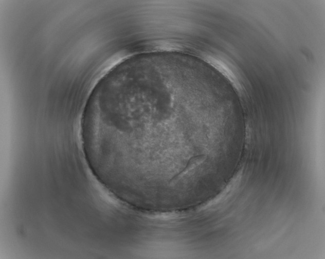 X0000114131047200910221500