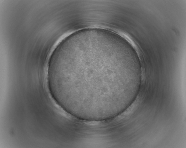 X0000114131048200910221500