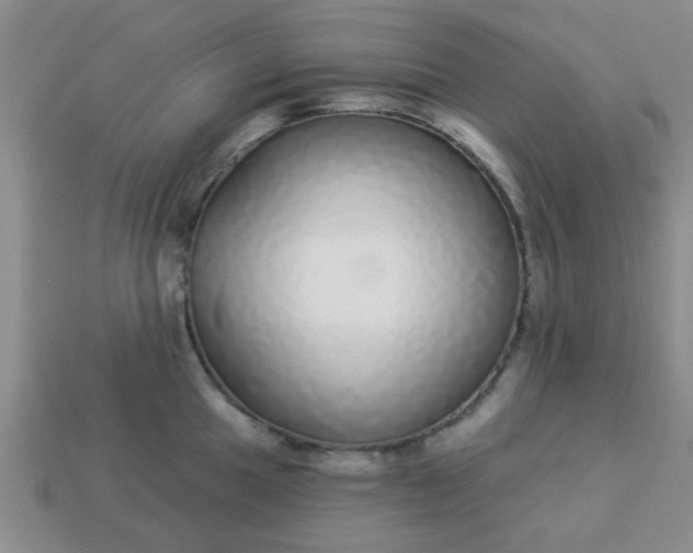 X0000114131049200910221500