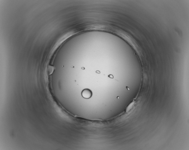 X0000114131050200910221500