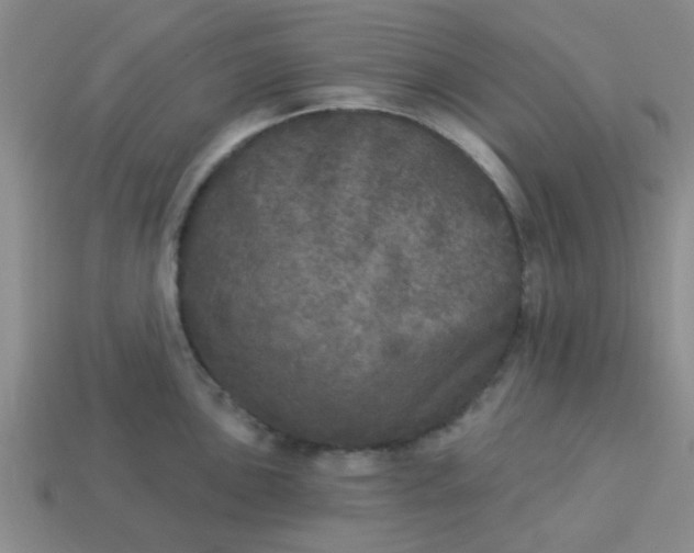 X0000114131051200910221500