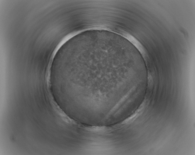 X0000114131052200910221500