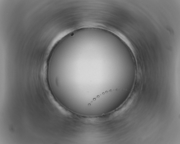 X0000114131053200910221500