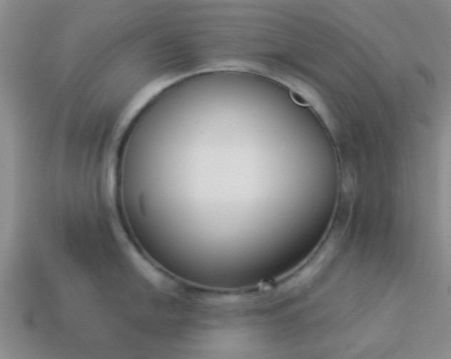 X0000114131054200910221500