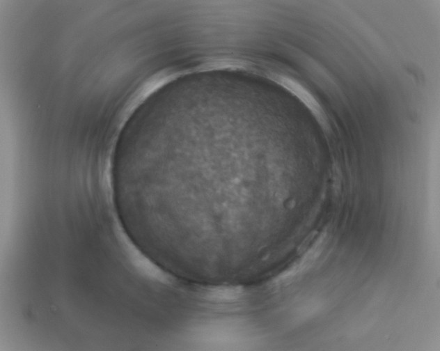 X0000114131055200910221500