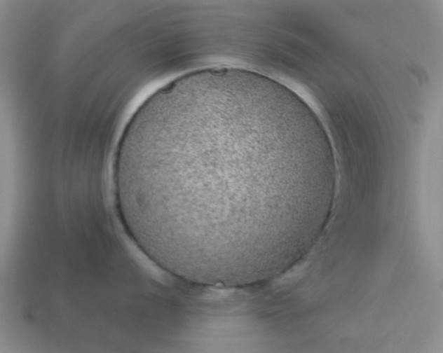 X0000114131056200910221500