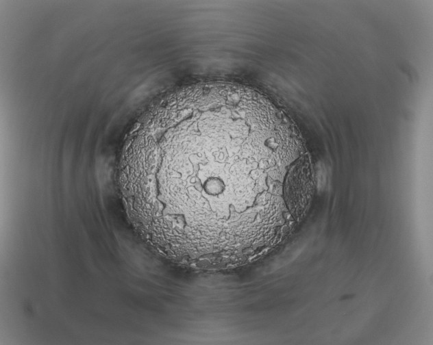 X0000114131059200910221500