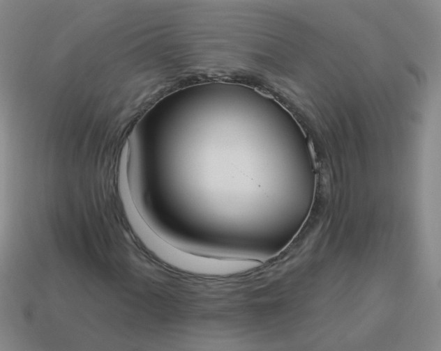 X0000114131060200910221500