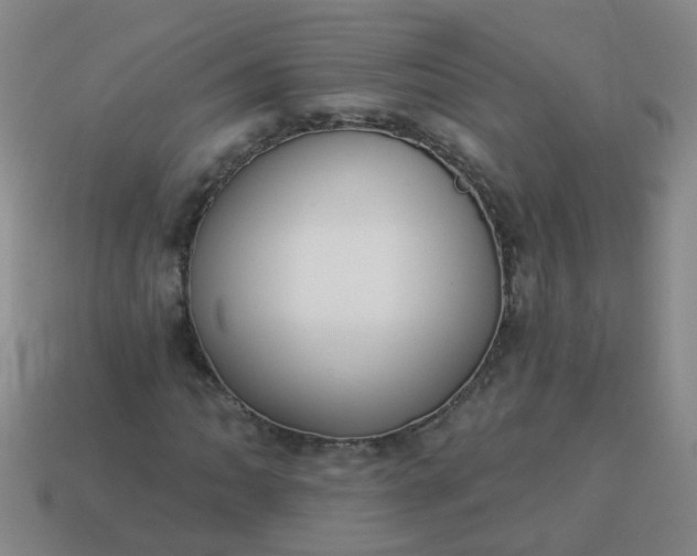 X0000114131062200910221500