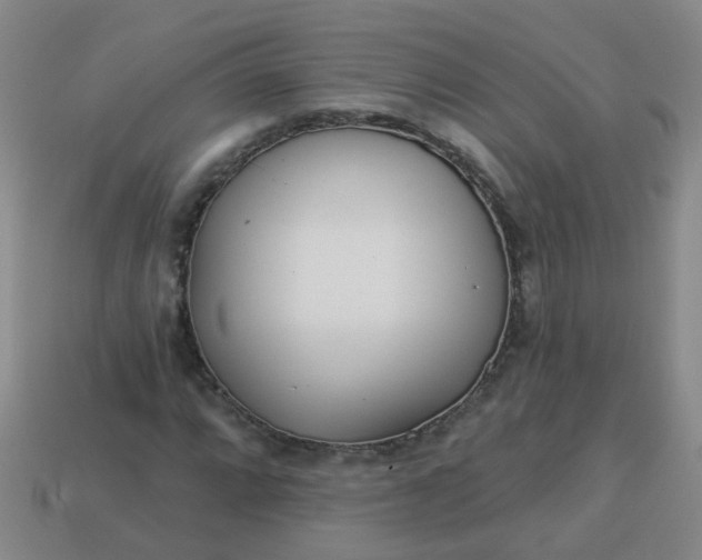 X0000114131064200910221500