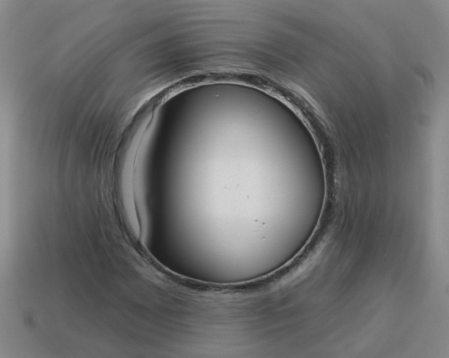 X0000114131065200910221500