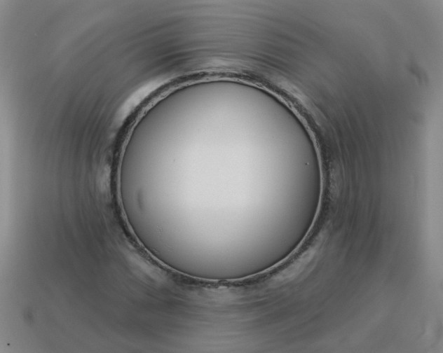 X0000114131066200910221500