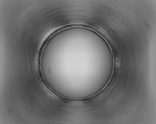 X0000114131068200910221459