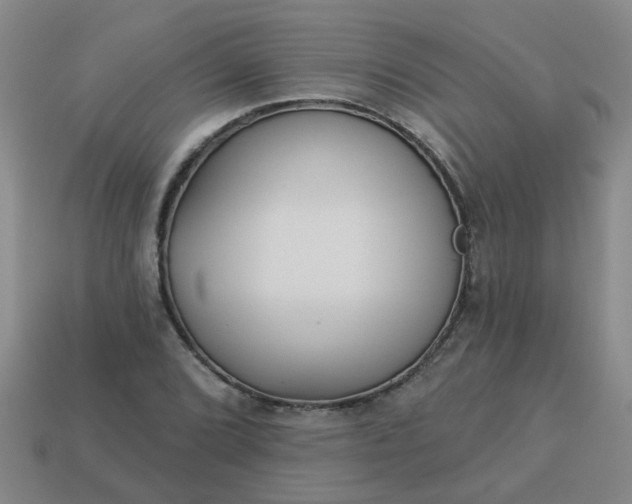 X0000114131072200910221459