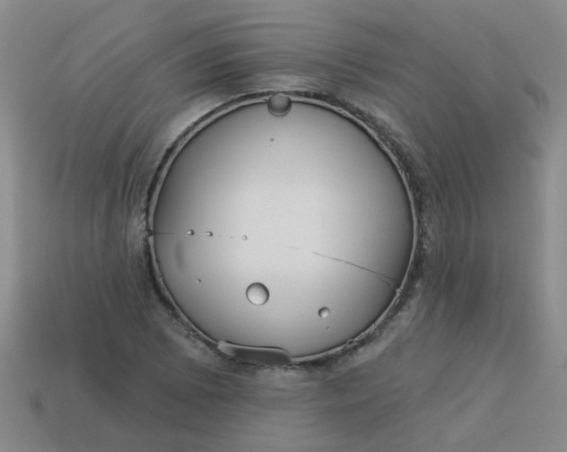 X0000114131073200910221459