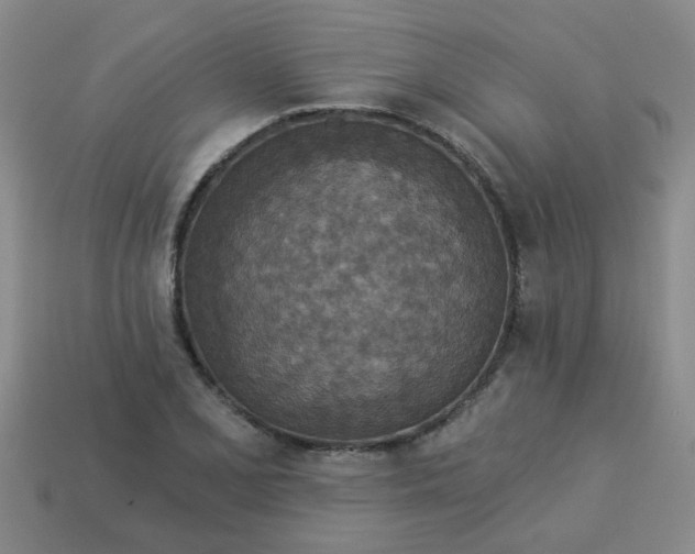 X0000114131077200910221459