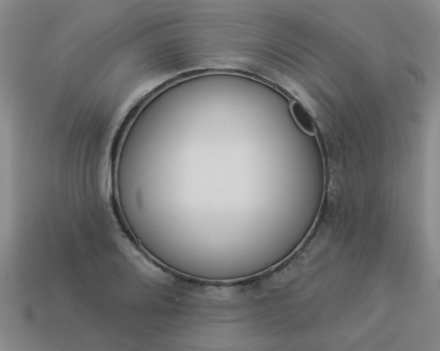 X0000114131080200910221459