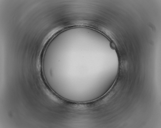 X0000114131082200910221459