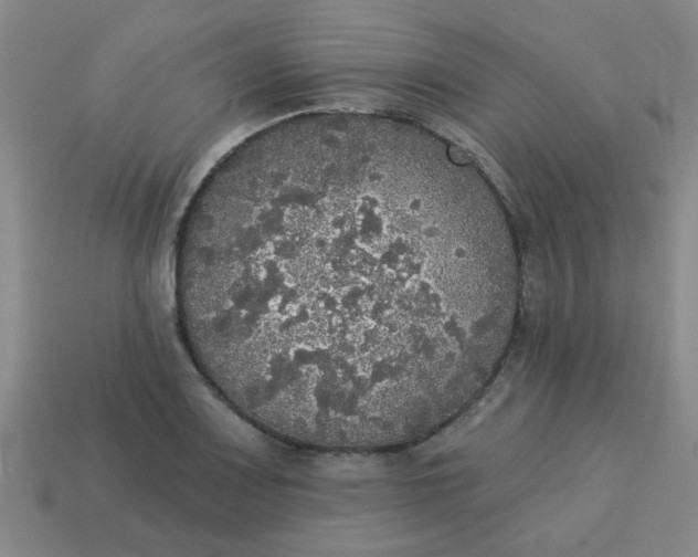 X0000114131083200910221459