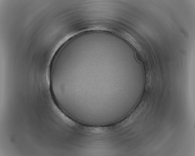 X0000114131084200910221459