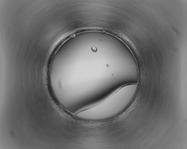 X0000114131085200910221459