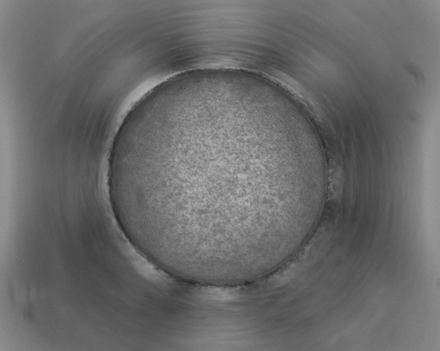 X0000114131086200910221459