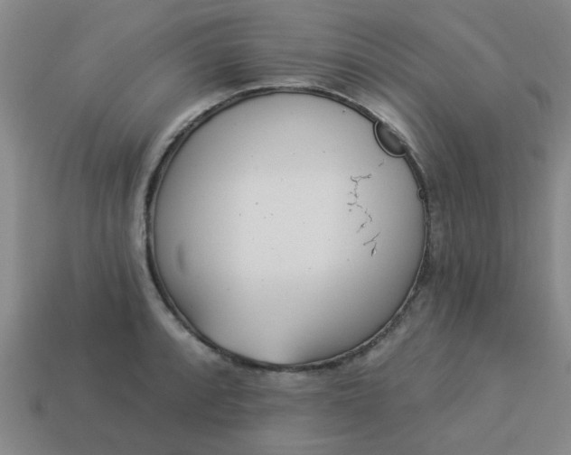 X0000114131088200910221459