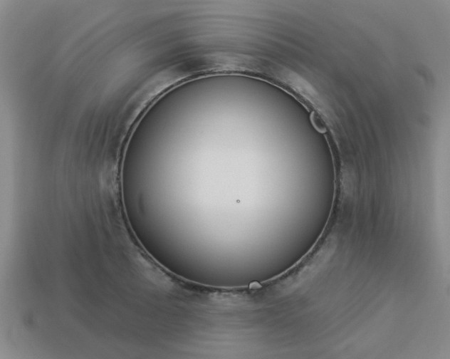 X0000114131089200910221459