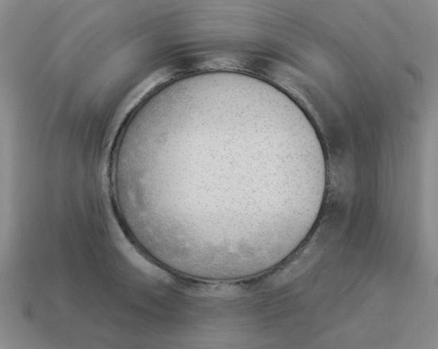 X0000114131090200910221459