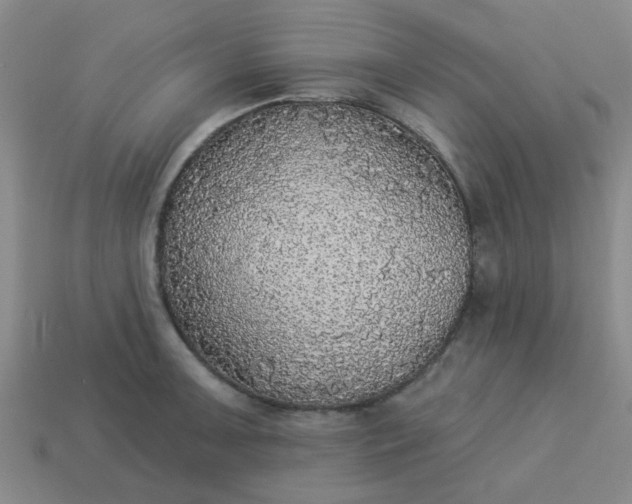 X0000114131091200910221459