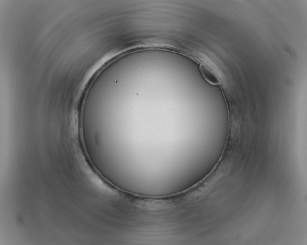 X0000114131092200910221459