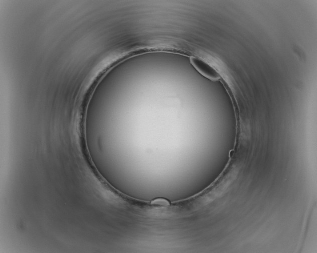 X0000114131093200910221459