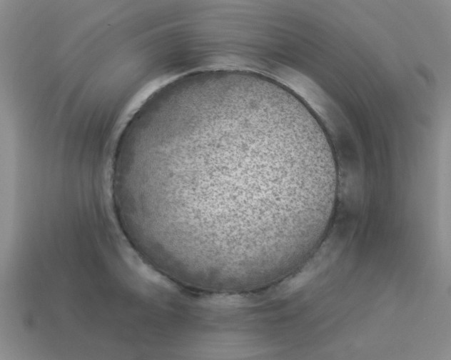 X0000114131094200910221459