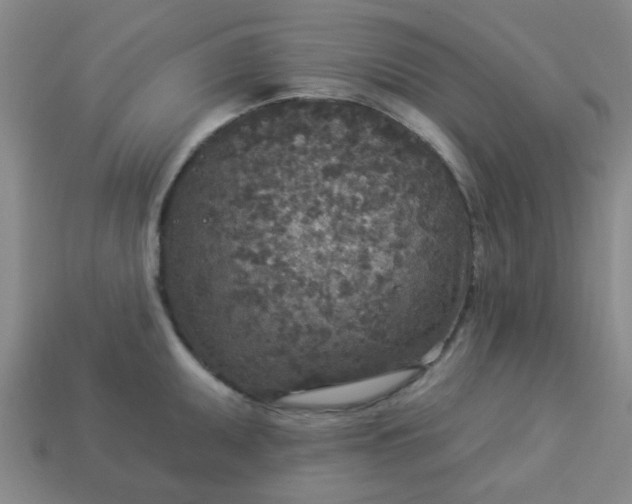 X0000114131095200910221459