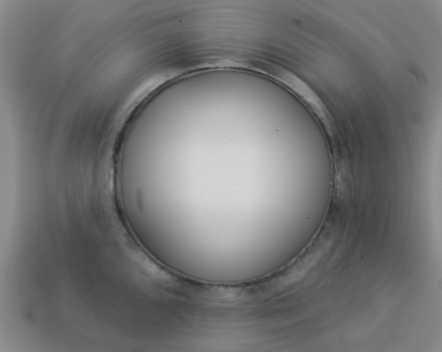 X0000114131096200910221459