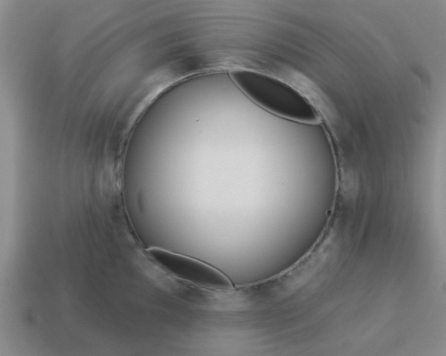 X0000114131097200910221459