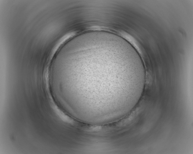 X0000114131098200910221459